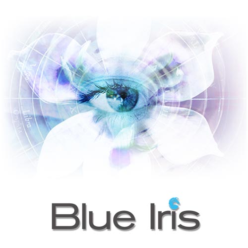 Blue Iris Crack - joycrack.com  